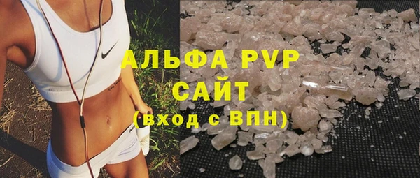 ГАЛЛЮЦИНОГЕННЫЕ ГРИБЫ Магас